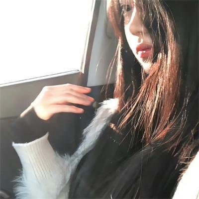 海豚奇迹